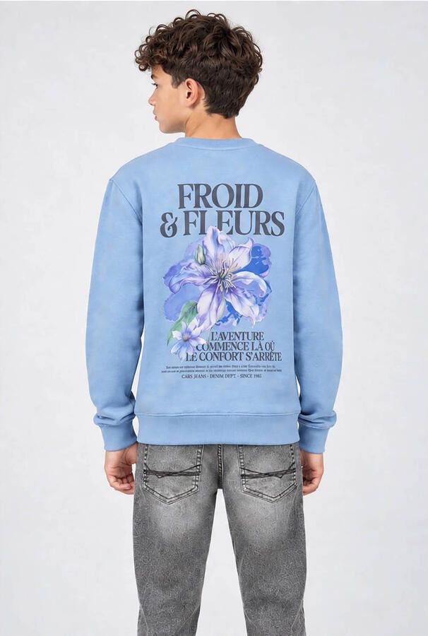 Cars oversized sweater met backprint Blauw Backprint - Foto 2