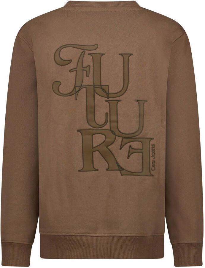 Cars rechtvallende sweater met backprint taupe