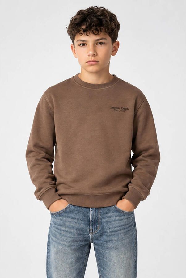 Cars rechtvallende sweater met backprint taupe Bruin Backprint