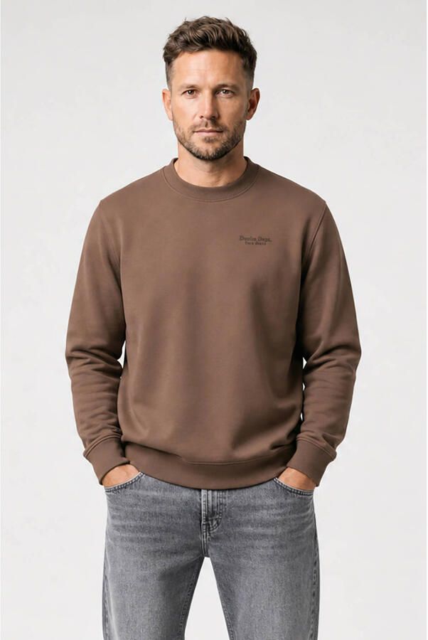 Cars regular fit sweater bruin