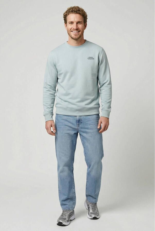 Cars regular fit sweater met backprint mint