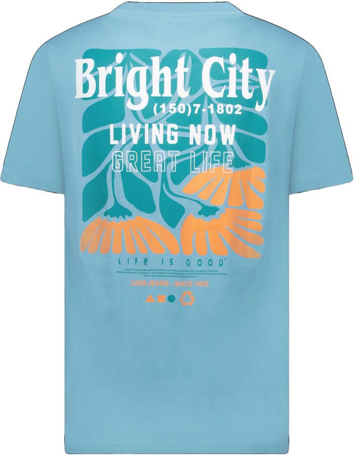 Cars regular T-shirt met backprint blauw - Foto 2