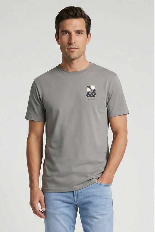 Cars regular T-shirt met backprint grijs