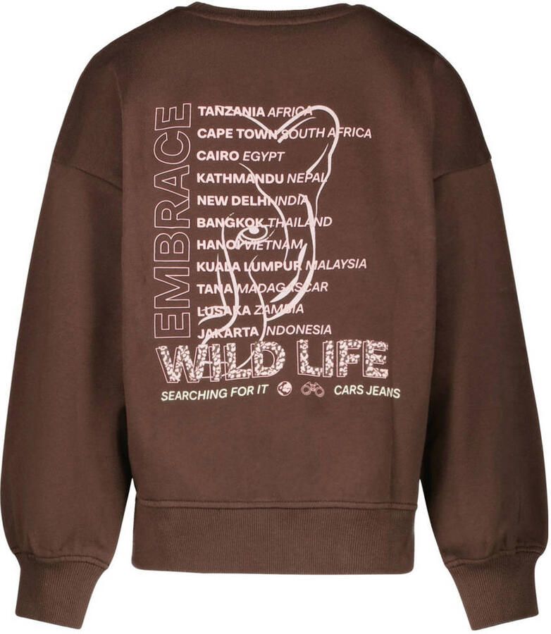Cars sweater bruin - Foto 1