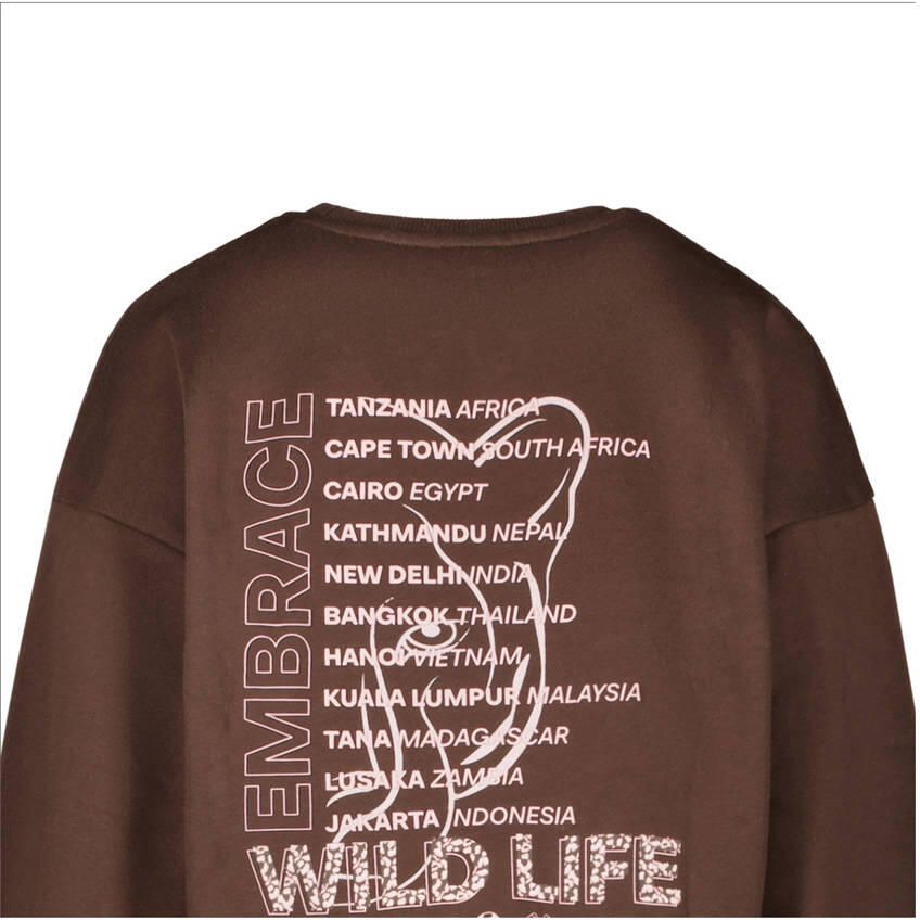 Cars sweater bruin - Foto 2