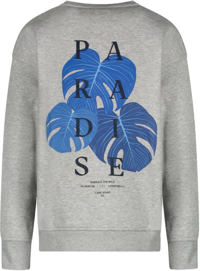 Cars sweater grijs melange