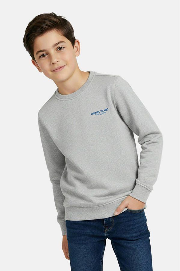 Cars sweater grijs melange - Foto 3