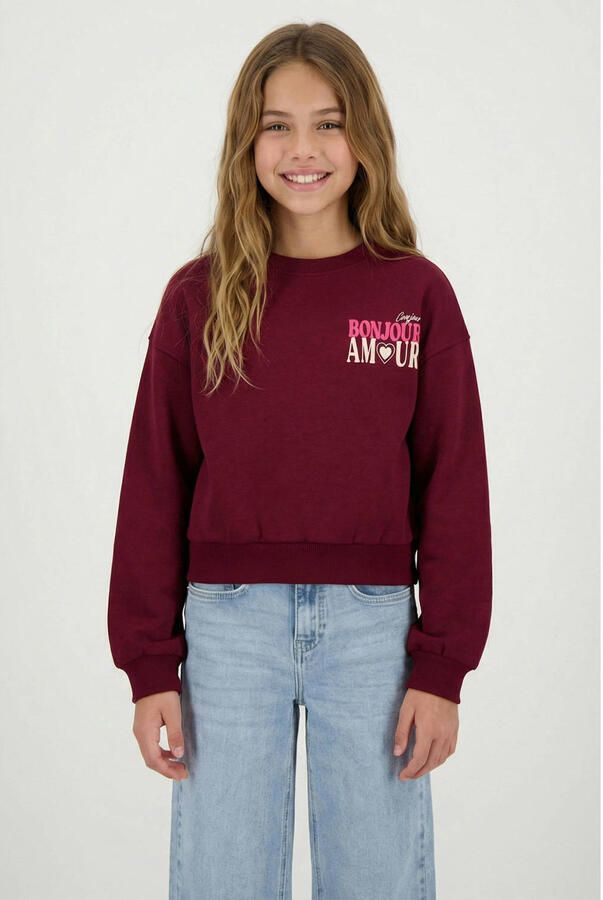 Cars sweater met backprint donkerrood roze Backprint