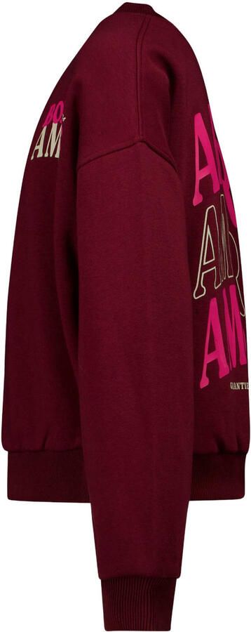 Cars sweater met backprint donkerrood roze Backprint - Foto 3