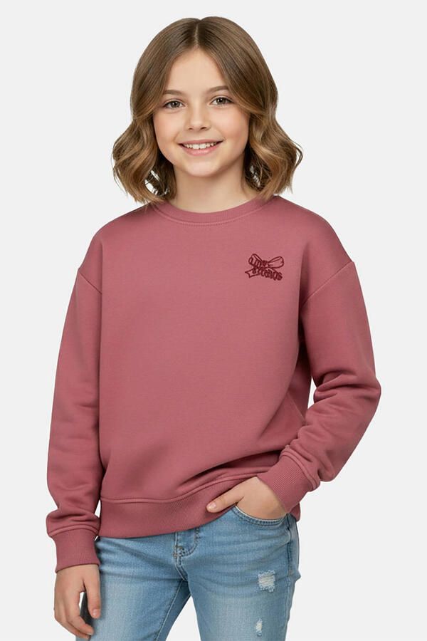 Cars sweater met backprint oudroze