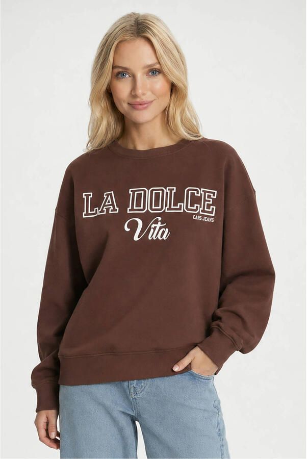 Cars sweater met print bruin