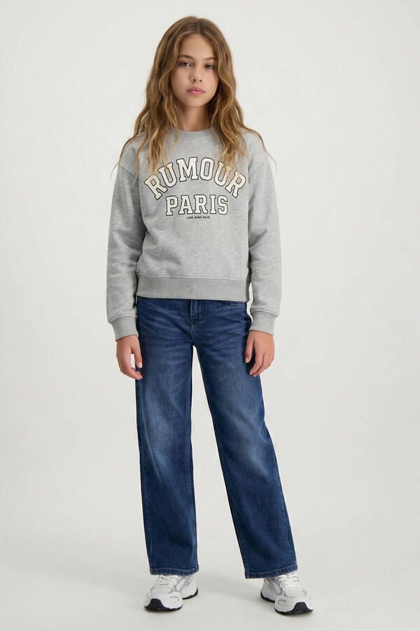 Cars sweater met print grijs Printopdruk