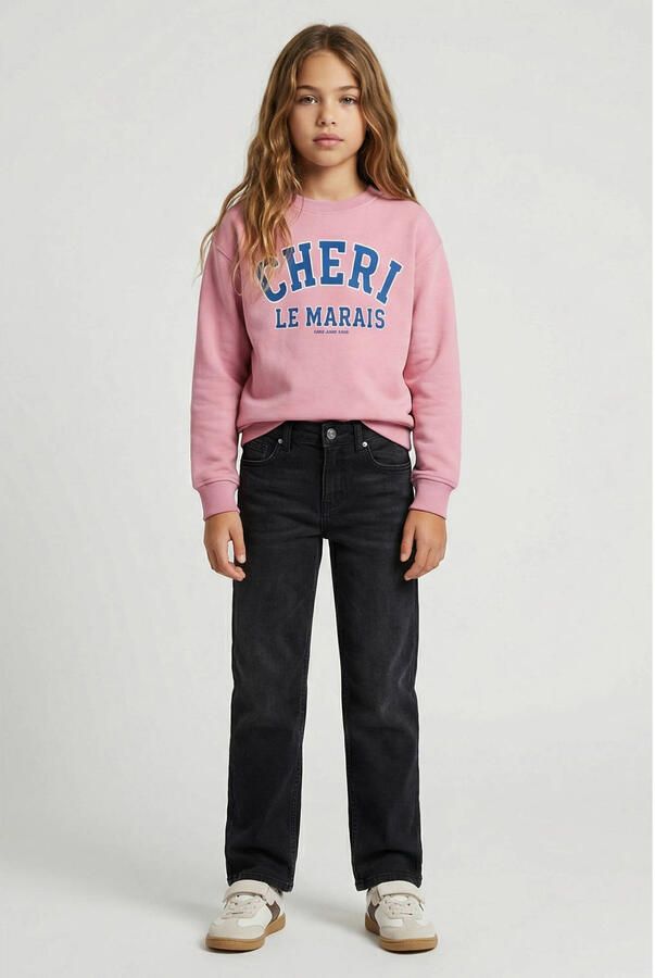 Cars sweater met print lichtroze blauw Printopdruk