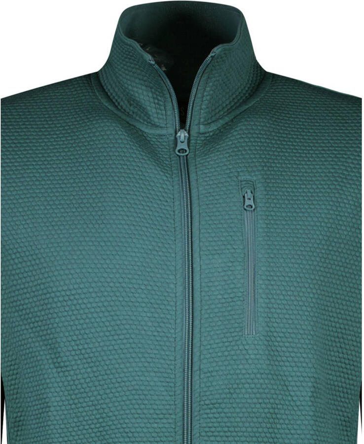Cars sweatvest met textuur groen