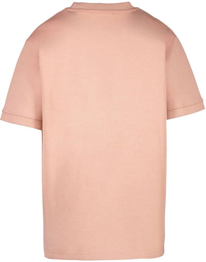 CARS JEANS Cars Jongens Polo's & T-shirts Locran Lichtroze - Foto 2