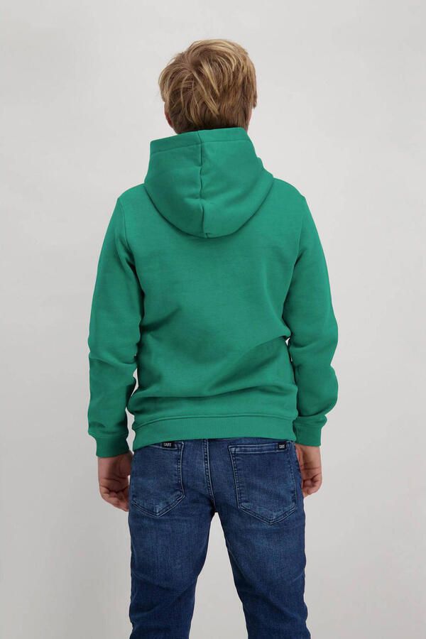 CARS JEANS Cars Truien & Vesten Kimar Groen