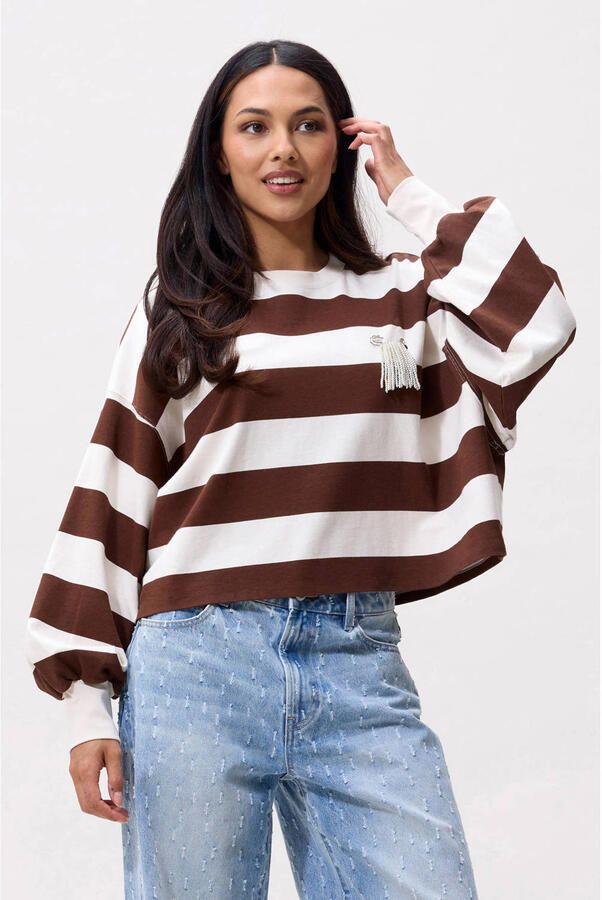 CATWALK JUNKIE Dames Tops & T-shirts Oversized Striped Long Sleeve Bruin - Foto 5