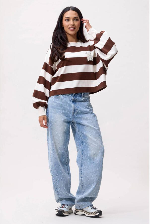 CATWALK JUNKIE Dames Tops & T-shirts Oversized Striped Long Sleeve Bruin - Foto 6