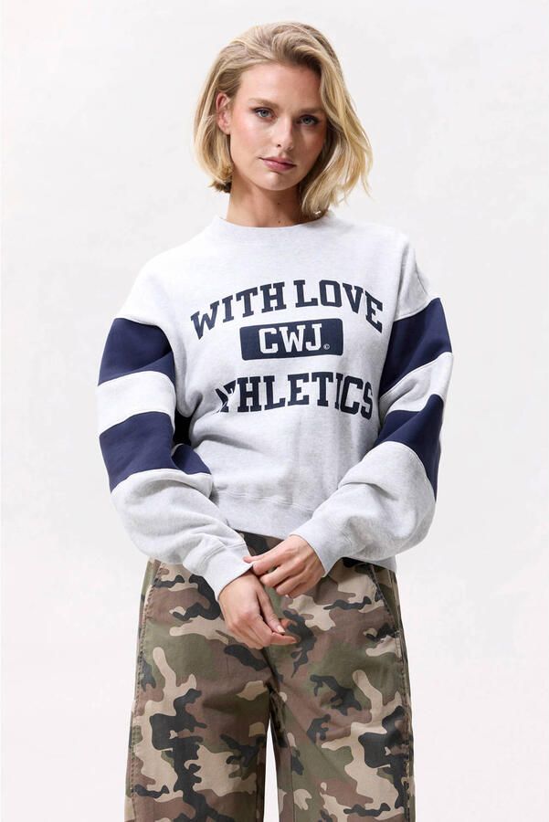 CATWALK JUNKIE Dames Truien & Vesten Sporty Graphic Sweater Grijs - Foto 5