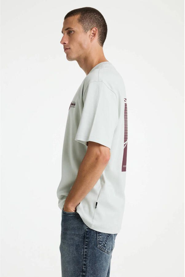 CHASIN Heren Polo's & T-shirts 52110080_ido Tee Lichtgrijs - Foto 7