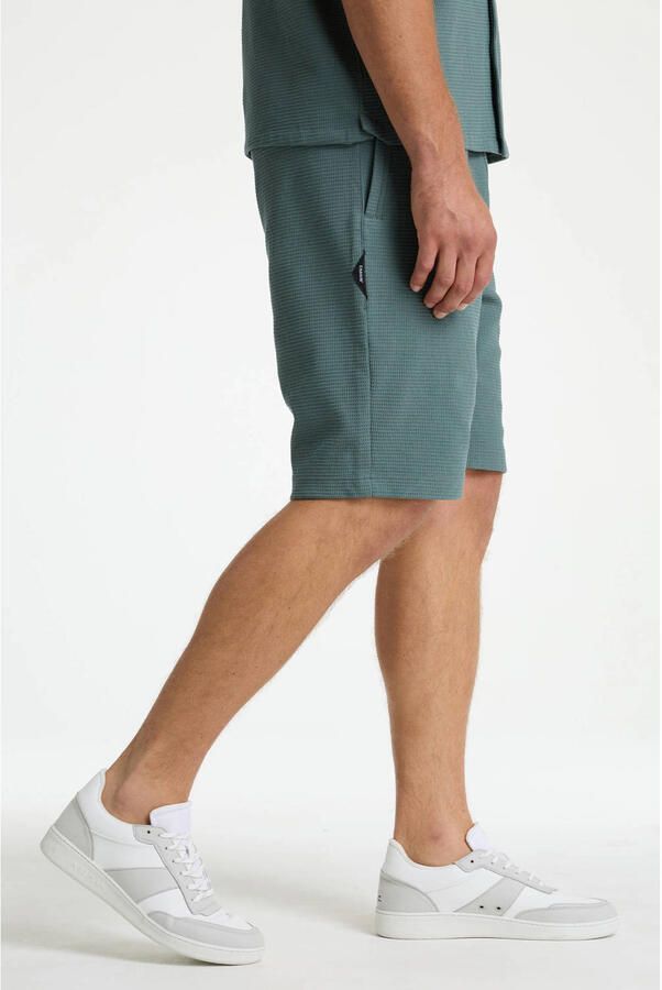 CHASIN' Stone.S Structure regular casual short groen met textuur - Foto 6