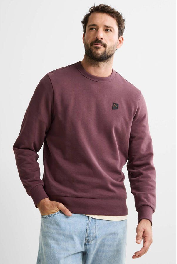 CHASIN' regular fit sweater met backprint huckleberry