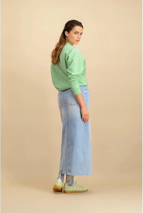 CIRCLE OF TRUST Dames Rokken Kae Skirt Blauw - Foto 6
