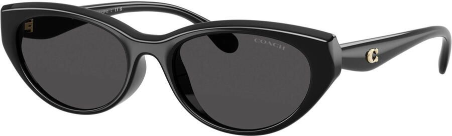 Coach zonnebril 0HC8456D zwart