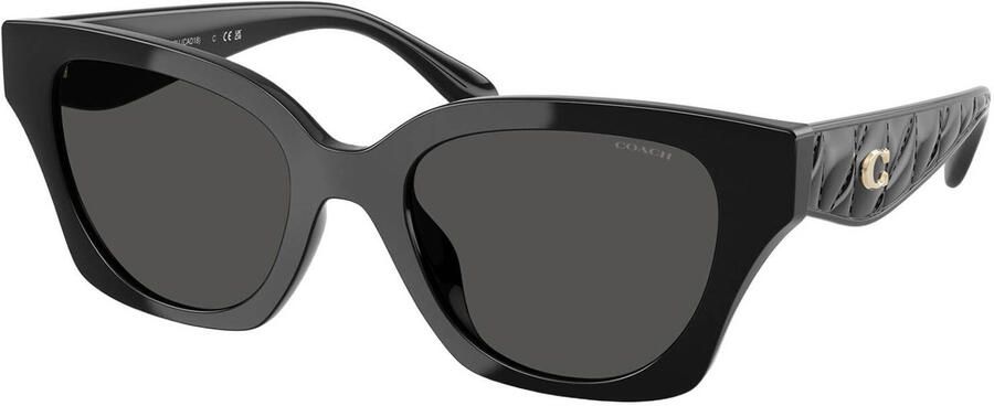 Coach zonnebril CAD18 zwart
