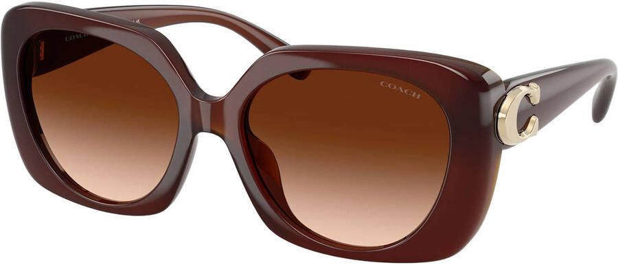 Coach zonnebril CAD33 roodbruin
