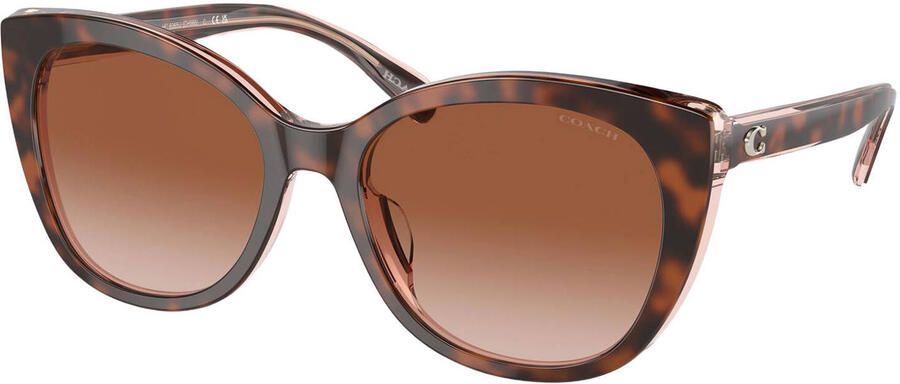 Coach zonnebril CH566 met tortoise print bruin
