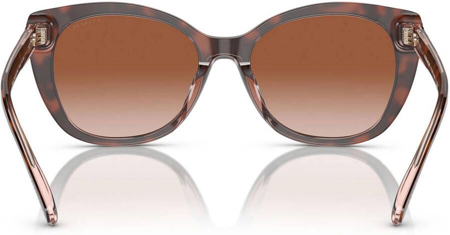 Coach zonnebril CH566 met tortoise print bruin - Foto 2