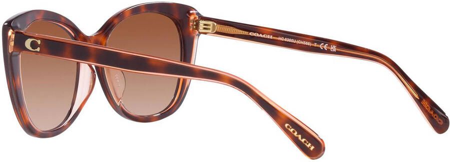Coach zonnebril CH566 met tortoise print bruin - Foto 3