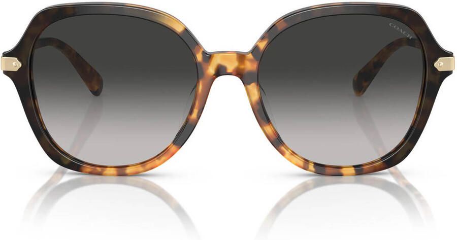 Coach zonnebril CL925 met tortoise print bruin - Foto 3