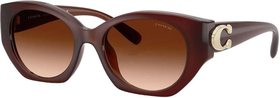 Coach zonnebril CW194 bruin