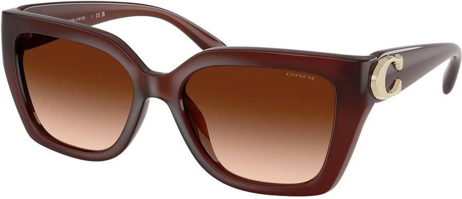Coach zonnebril CW195 bruin