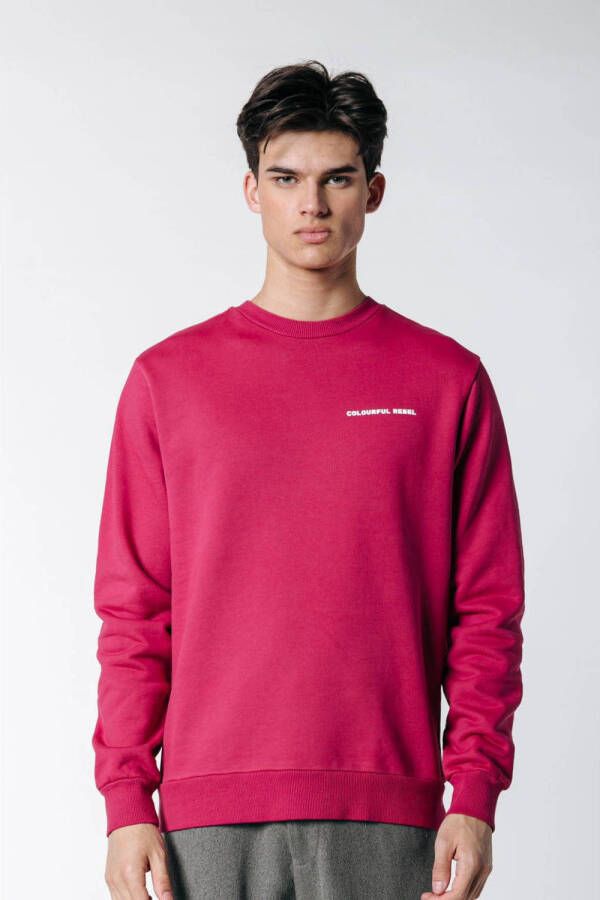 Colourful Rebel sweater van biologisch katoen burgundy