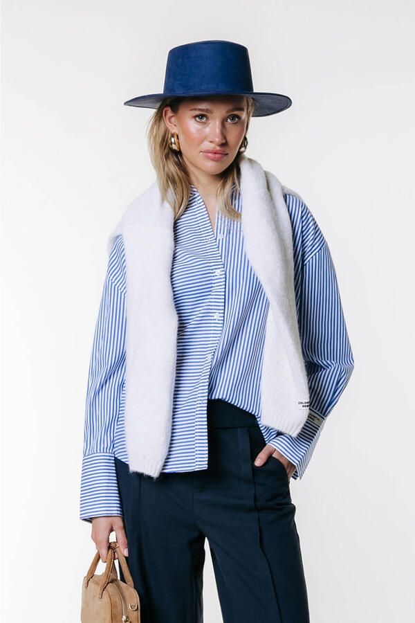 Colourful Rebel blouse met backprint met krijtstreep blauw