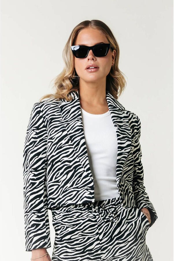 COLOURFUL REBEL Dames Blazers Dente Zebra Jacquard Blazer Grijs - Foto 6