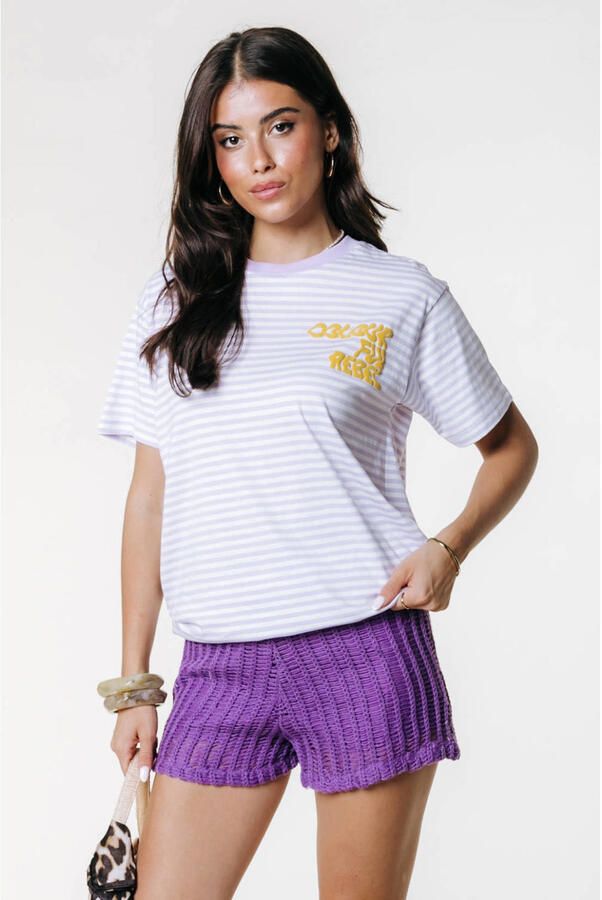 Colourful Rebel gestreept T-shirt lavendel
