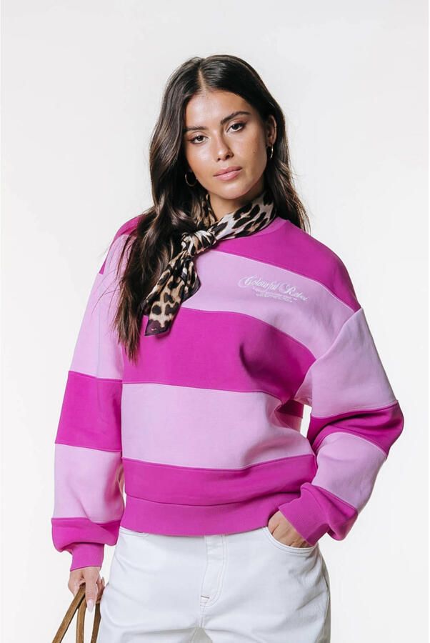 Colourful Rebel gestreepte sweater roze