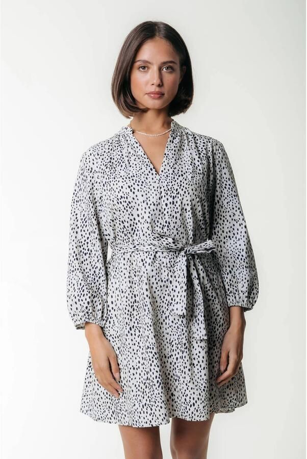 COLOURFUL REBEL Dames Jurken Lize Cheetah Shirt Mini Dress Ss Wit - Foto 7