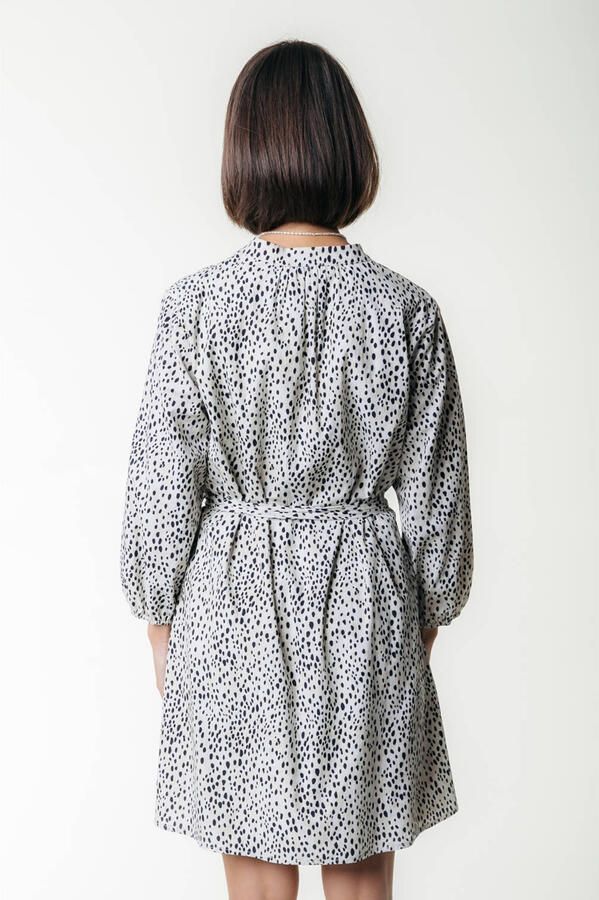 COLOURFUL REBEL Dames Jurken Lize Cheetah Shirt Mini Dress Ss Wit - Foto 6