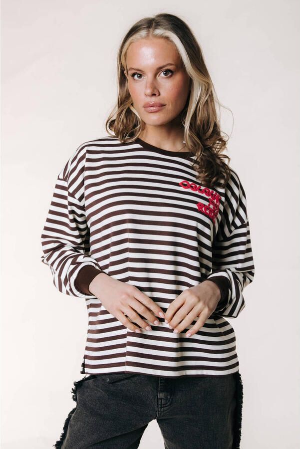 Colourful Rebel rechtvallende gestreepte top met logo bruin