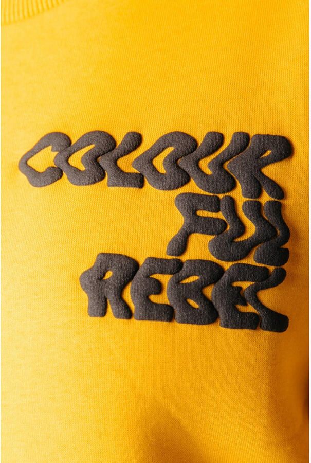 Colourful Rebel rechtvallende trui met logo oker - Foto 2