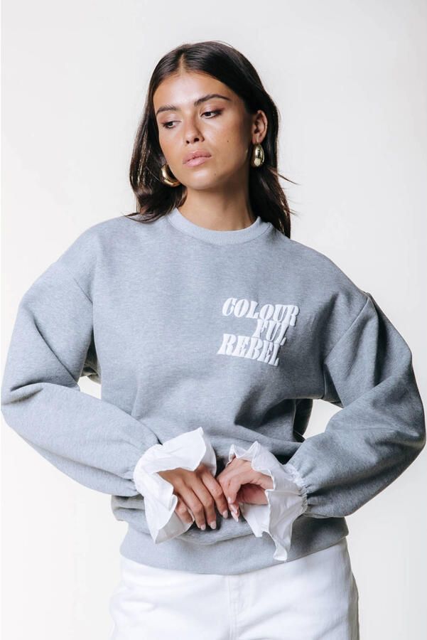Colourful Rebel sweater grijs