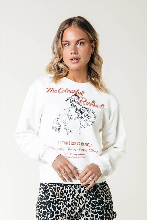 Colourful Rebel sweater wit