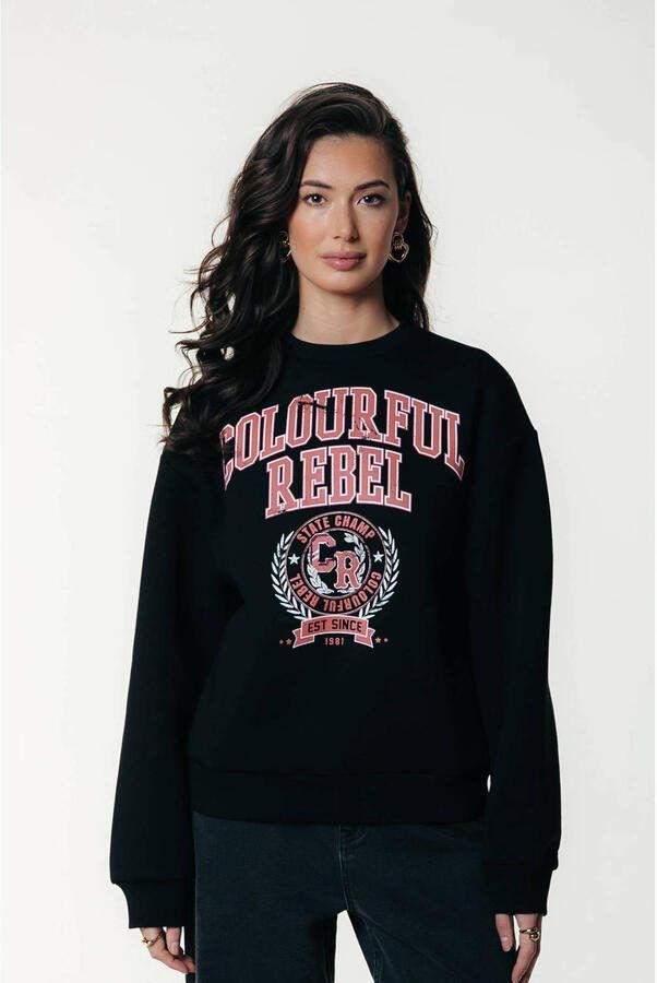 Colourful Rebel sweater zwart