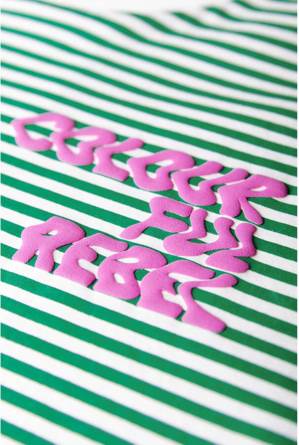 Colourful Rebel Curve gestreept T-shirt groen - Foto 2