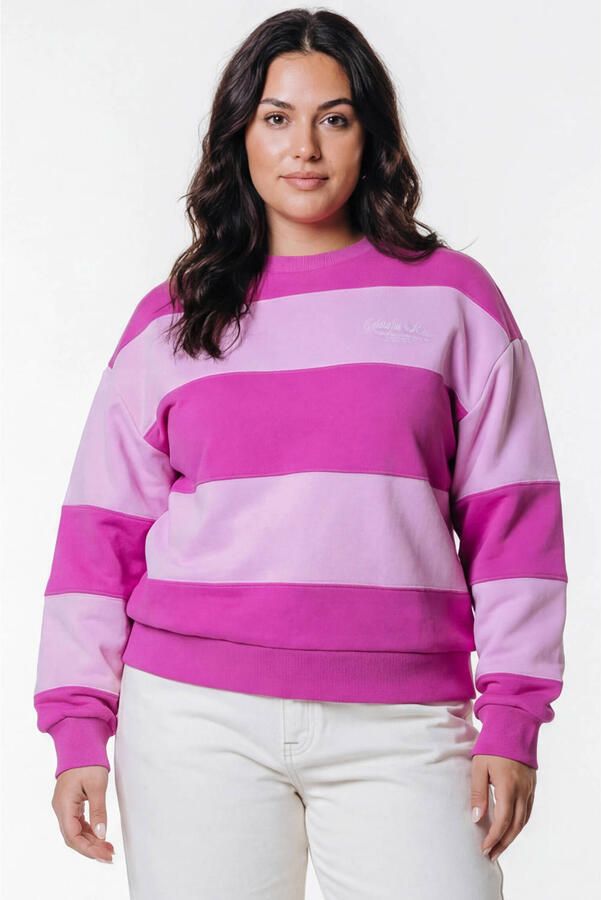Colourful Rebel Curve gestreepte sweater roze